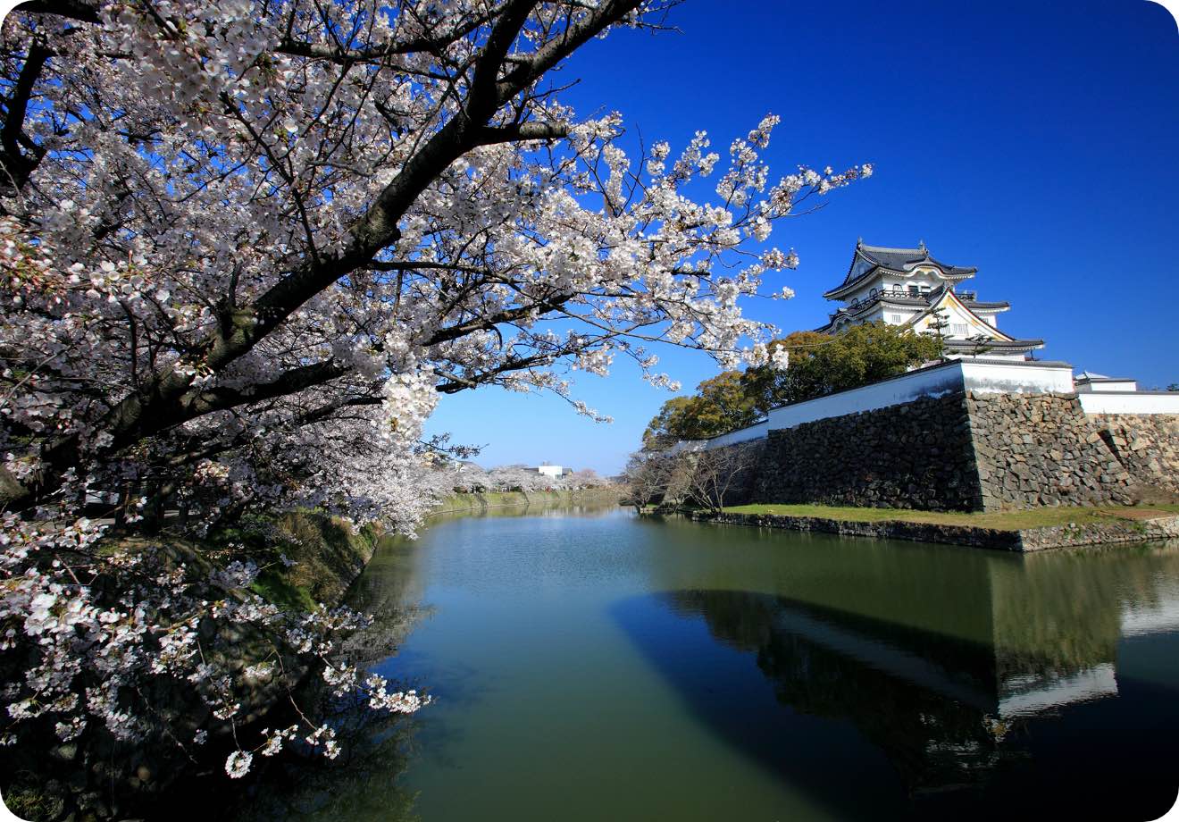 센슈에 살아숨쉬는 오사카의 자연과 역사 蜻蛉池公園