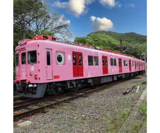 画像：めでたいでんしゃの「さち」が、南海多奈川線を運行します🚃