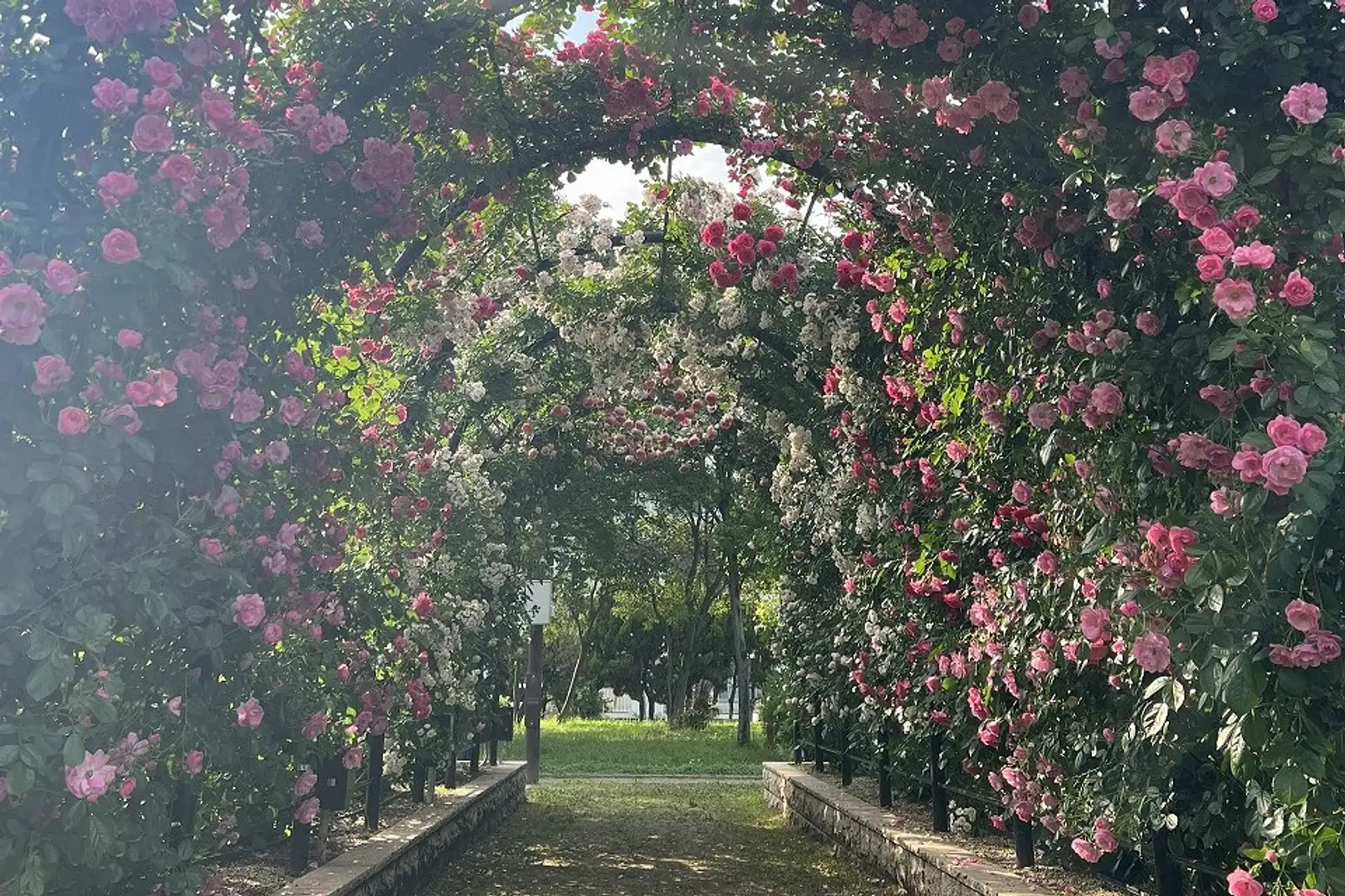 岸和田 市 中央 公園