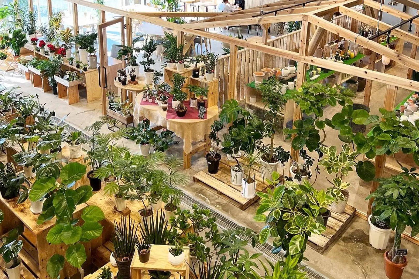 the SOUP green&cafe | スポット・体験 | 【公式】泉州観光ガイド