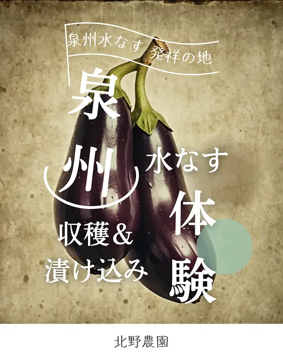 水ナス体験.png