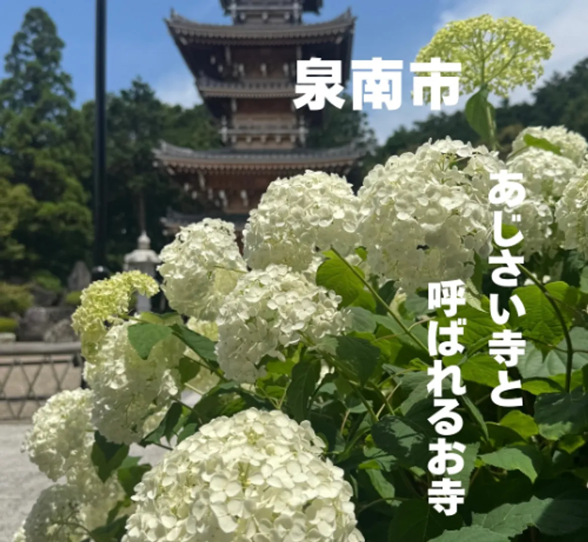 長慶寺