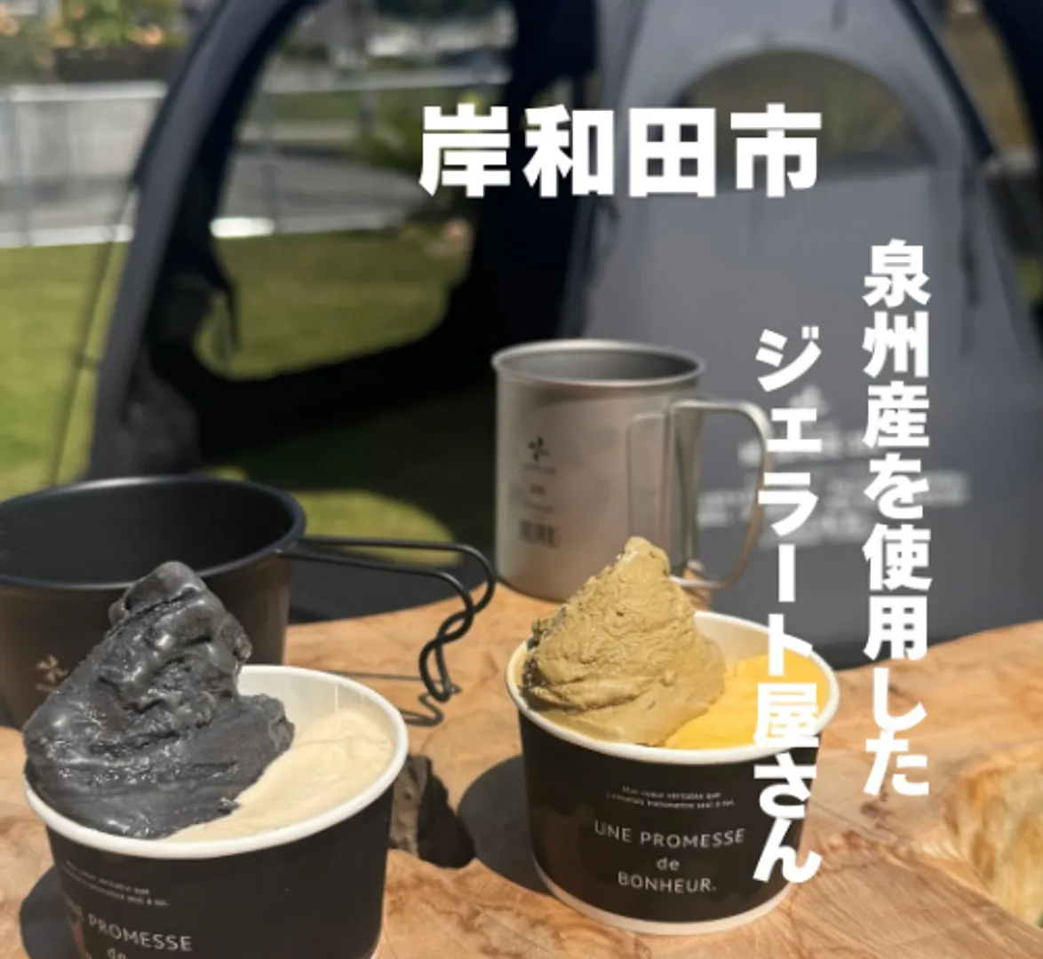 VENTLAX　GELATO