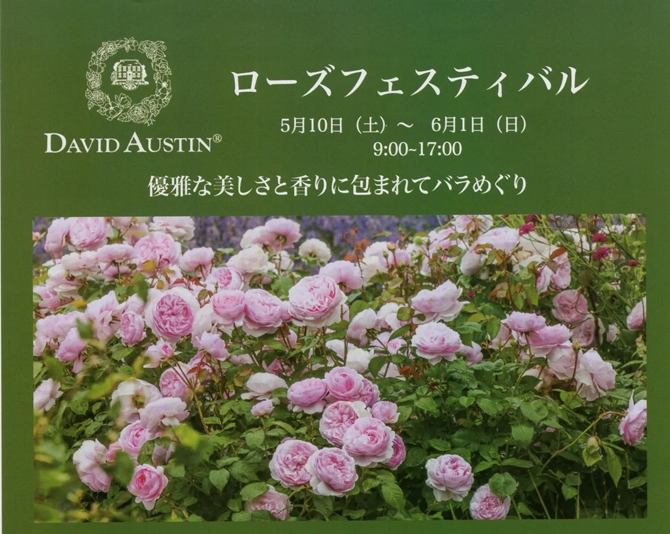 tophalf_25rosefestival002.jpg
