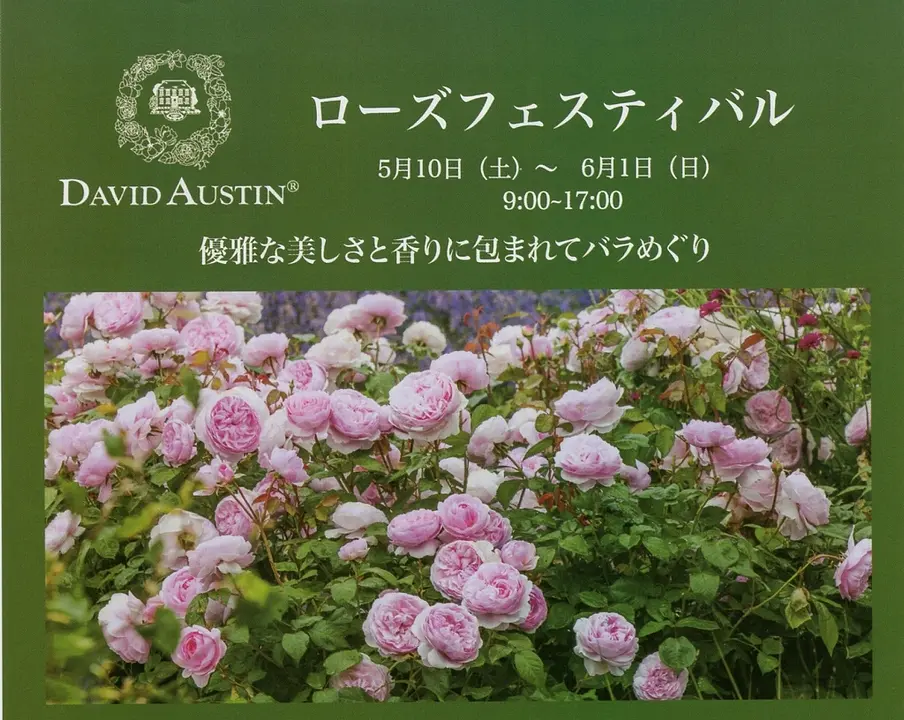 tophalf_25rosefestival002.jpg