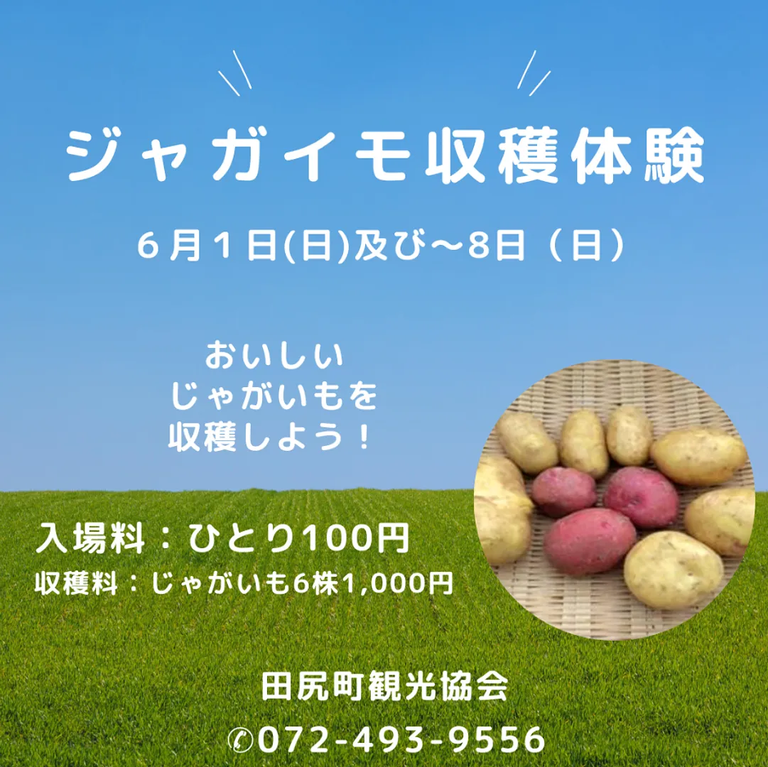 青と緑 家族 親子 農園 収穫  イベント お知らせ 写真 シンプル Instagramの投稿 (1).png