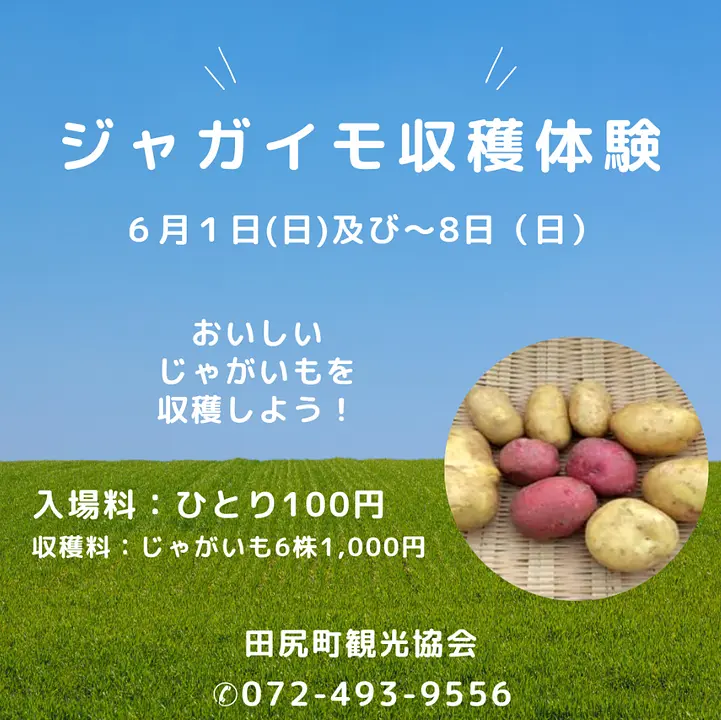 青と緑 家族 親子 農園 収穫  イベント お知らせ 写真 シンプル Instagramの投稿 (1).png