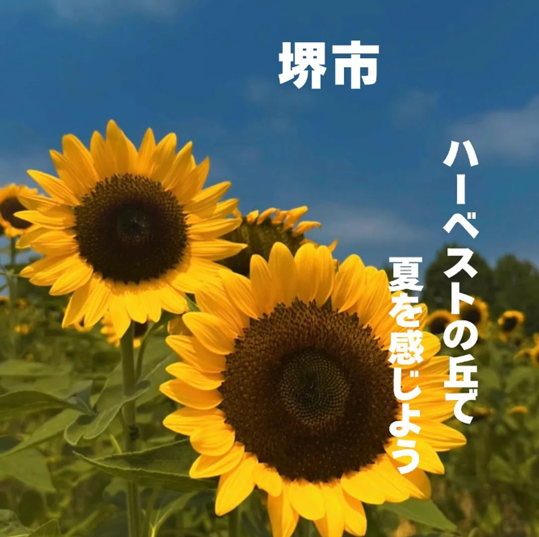 長慶寺