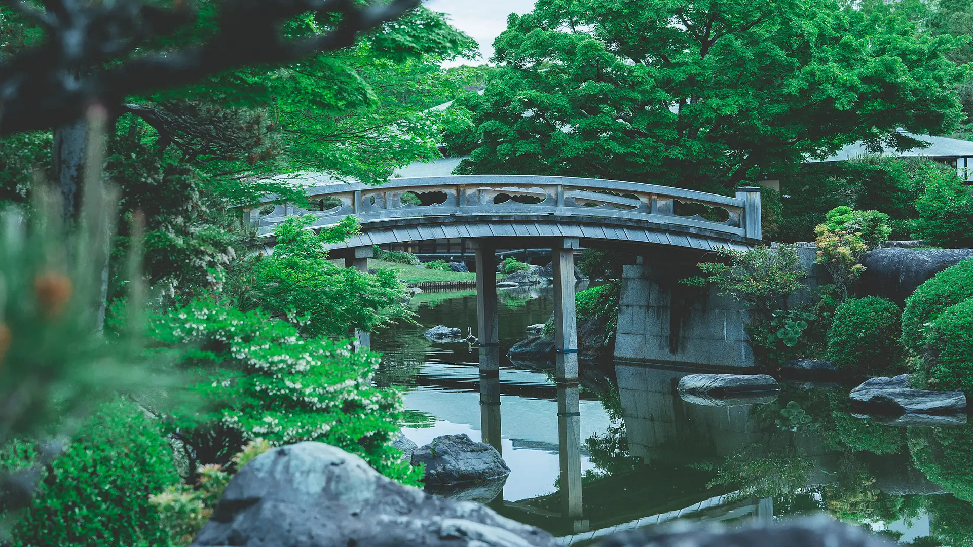 銭単位国立公園、観光、文化人全て完集、美品中心です 大仙公園 日本庭園 | 観光スポット | 【公式】泉州観光ガイド [ KIX