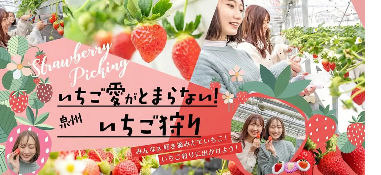 いちご愛がとまらない!泉州いちご狩り