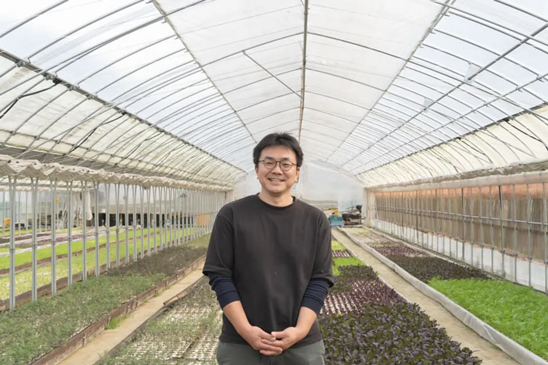 やっとたどり着いたヨーロピアンリーフミックス GreenGroove 中島光博_01