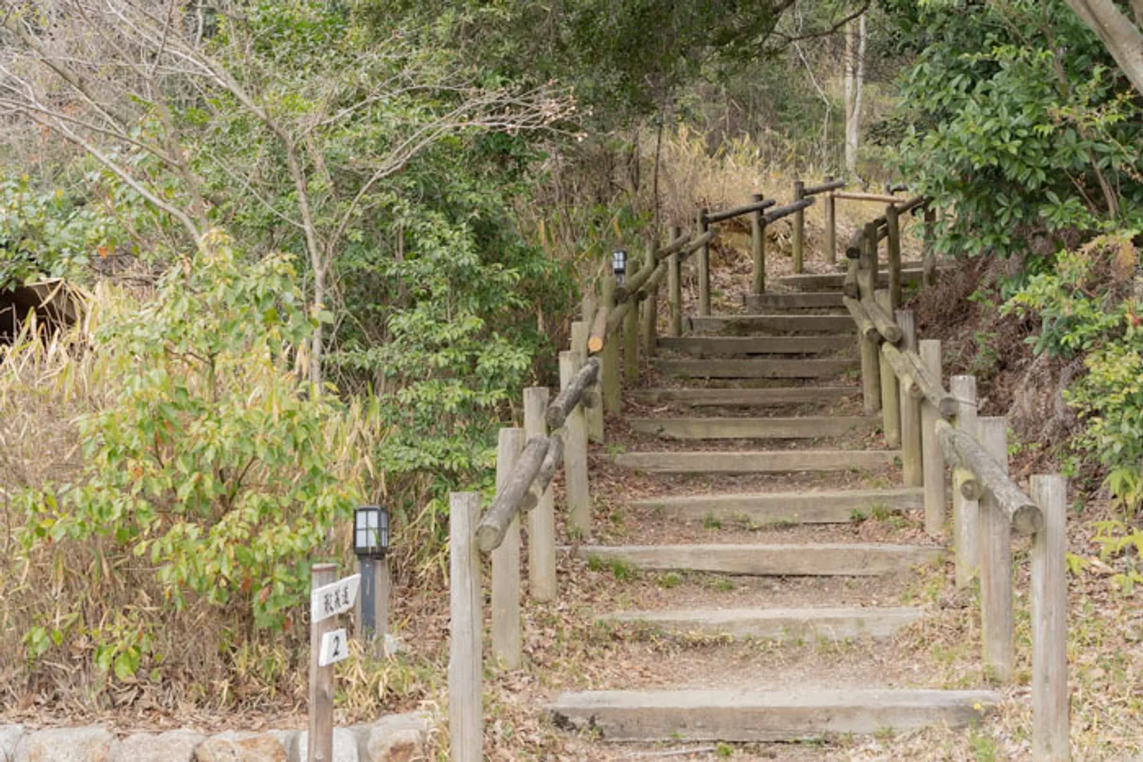 和田山 Berry Park 廣田正男_10
