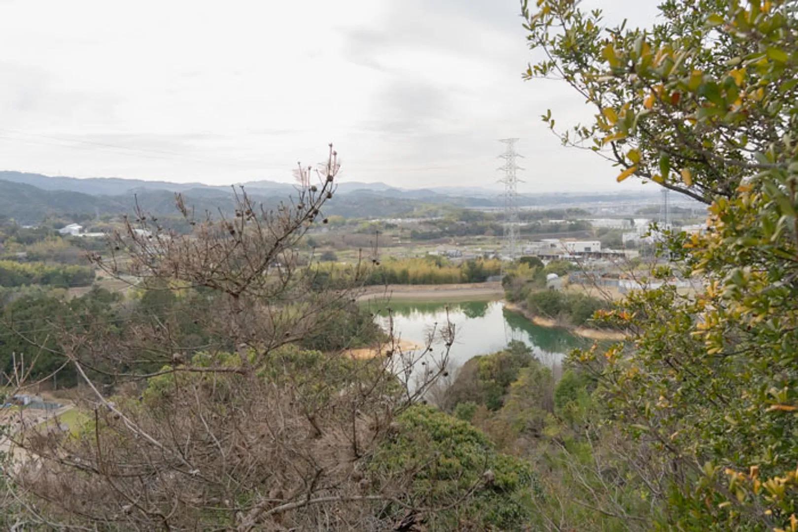 和田山 Berry Park 廣田正男_11