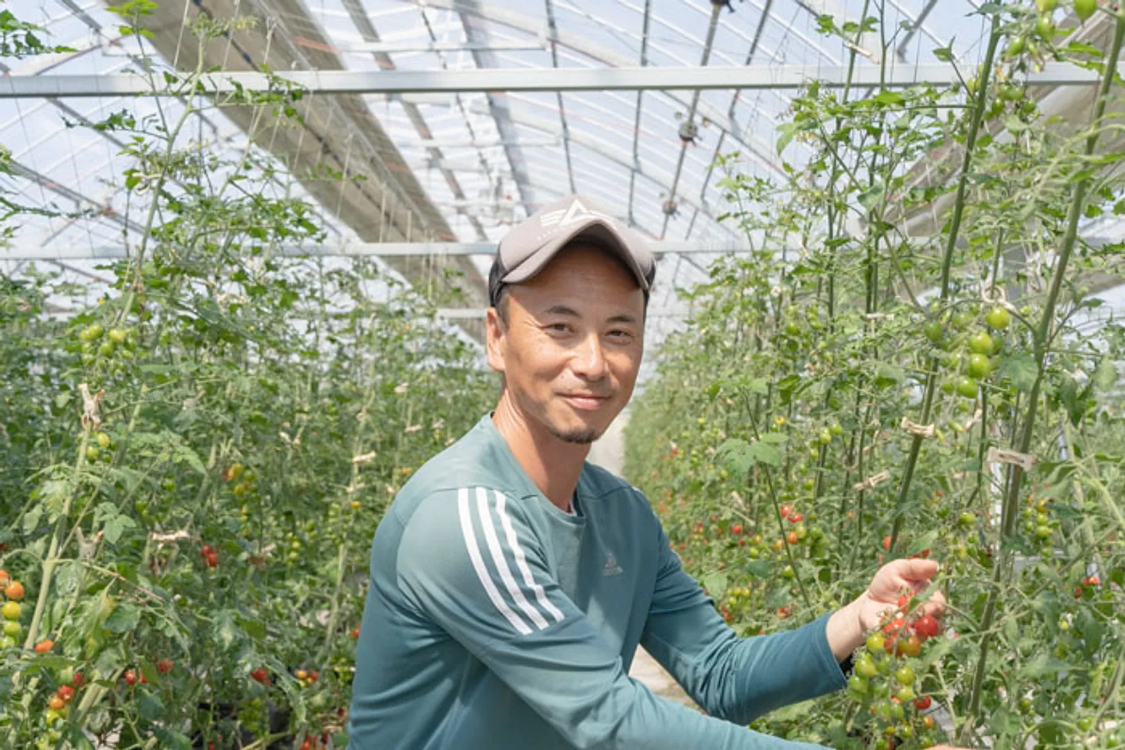 大阪唯一のミニトマト狩り キノシタファーム 木下健司_01