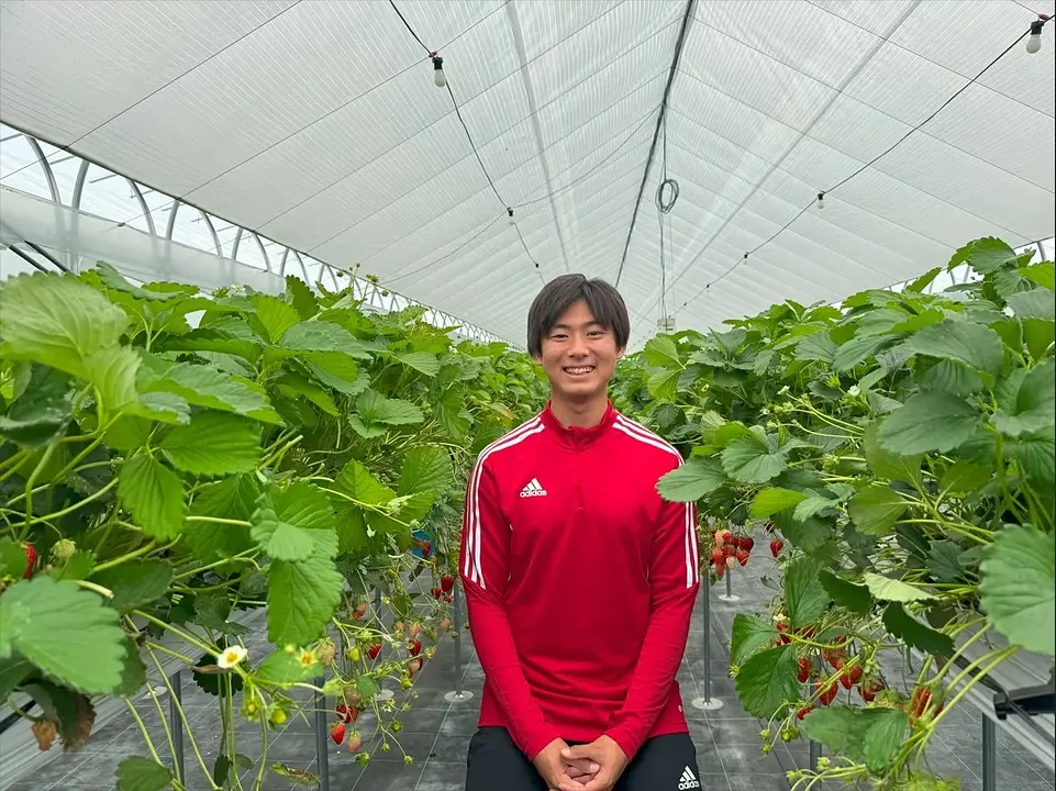 大学時代に起業、いちご農家 Ichigo Lab Izumisano 加茂嵩人01