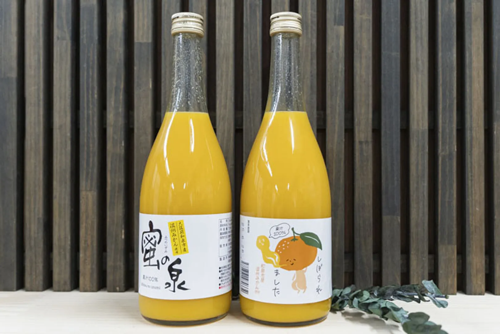 「いずみ山愛の里」運営会社が手掛ける自社農園事業 丸和食品株式会社_07