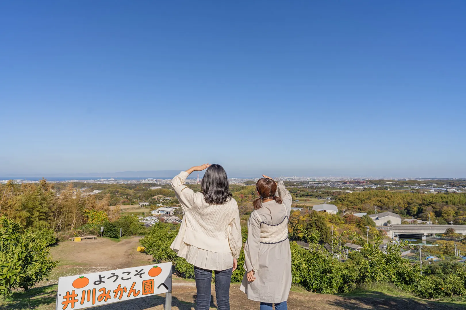 お客様の声に支えられて 創業99年目の井川みかん園 井川雅仁_05