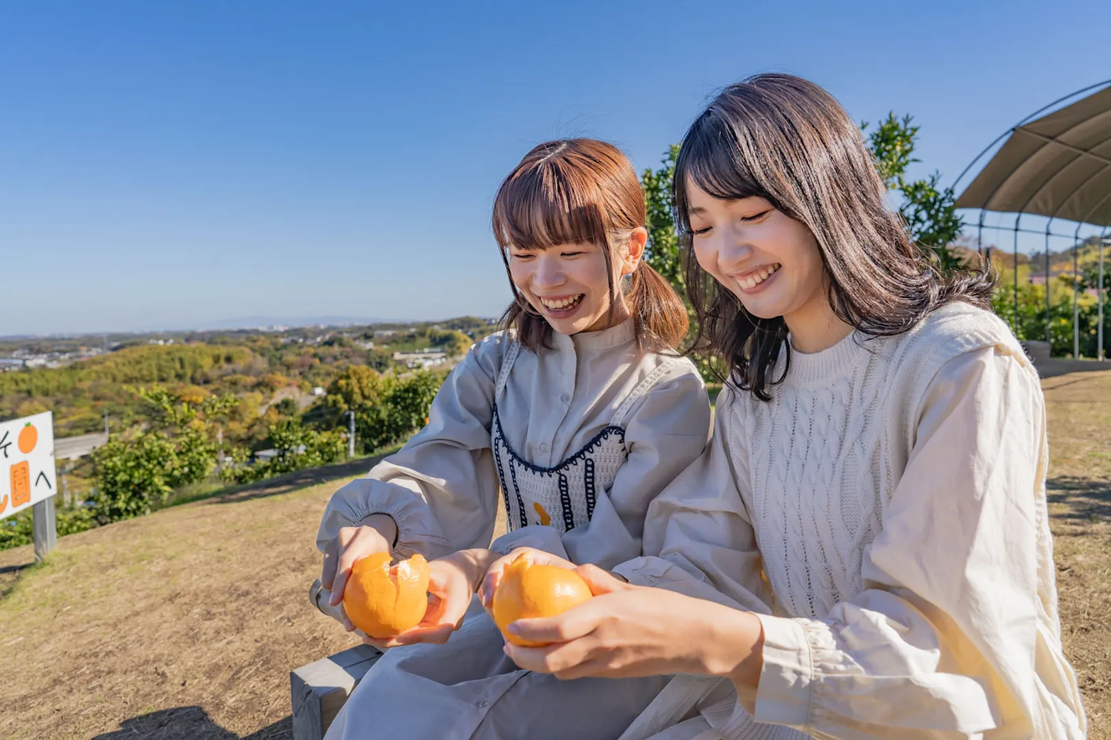 お客様の声に支えられて 創業99年目の井川みかん園 井川雅仁_08