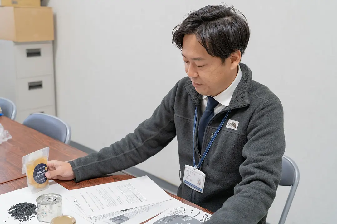 幻のたまねぎ吉見早生の復活 田尻町産業振興課_02