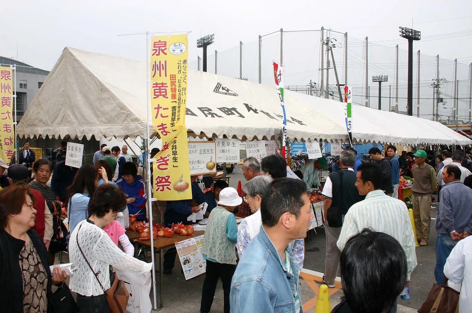 幻のたまねぎ吉見早生の復活 田尻町産業振興課_09