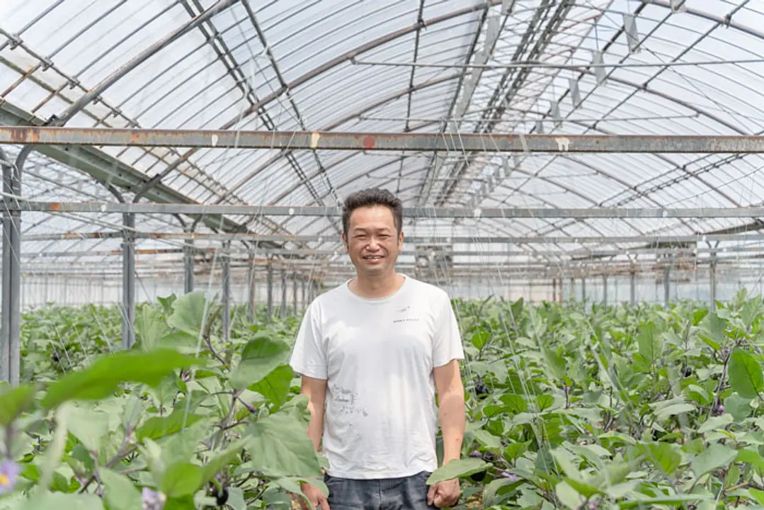 挑戦し続ける水なす農家 草竹農園 草竹茂樹_01
