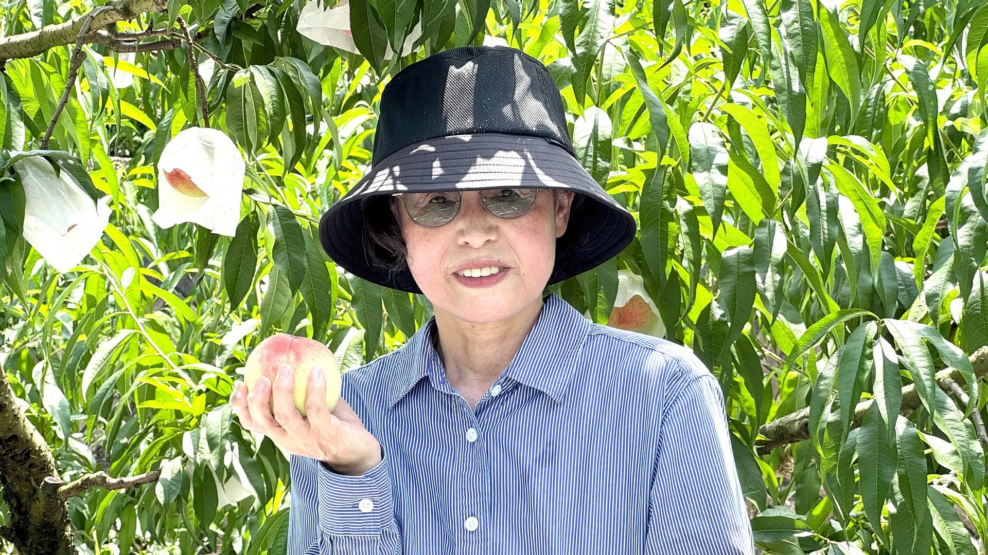 池田農園_池田美佐子.jpg