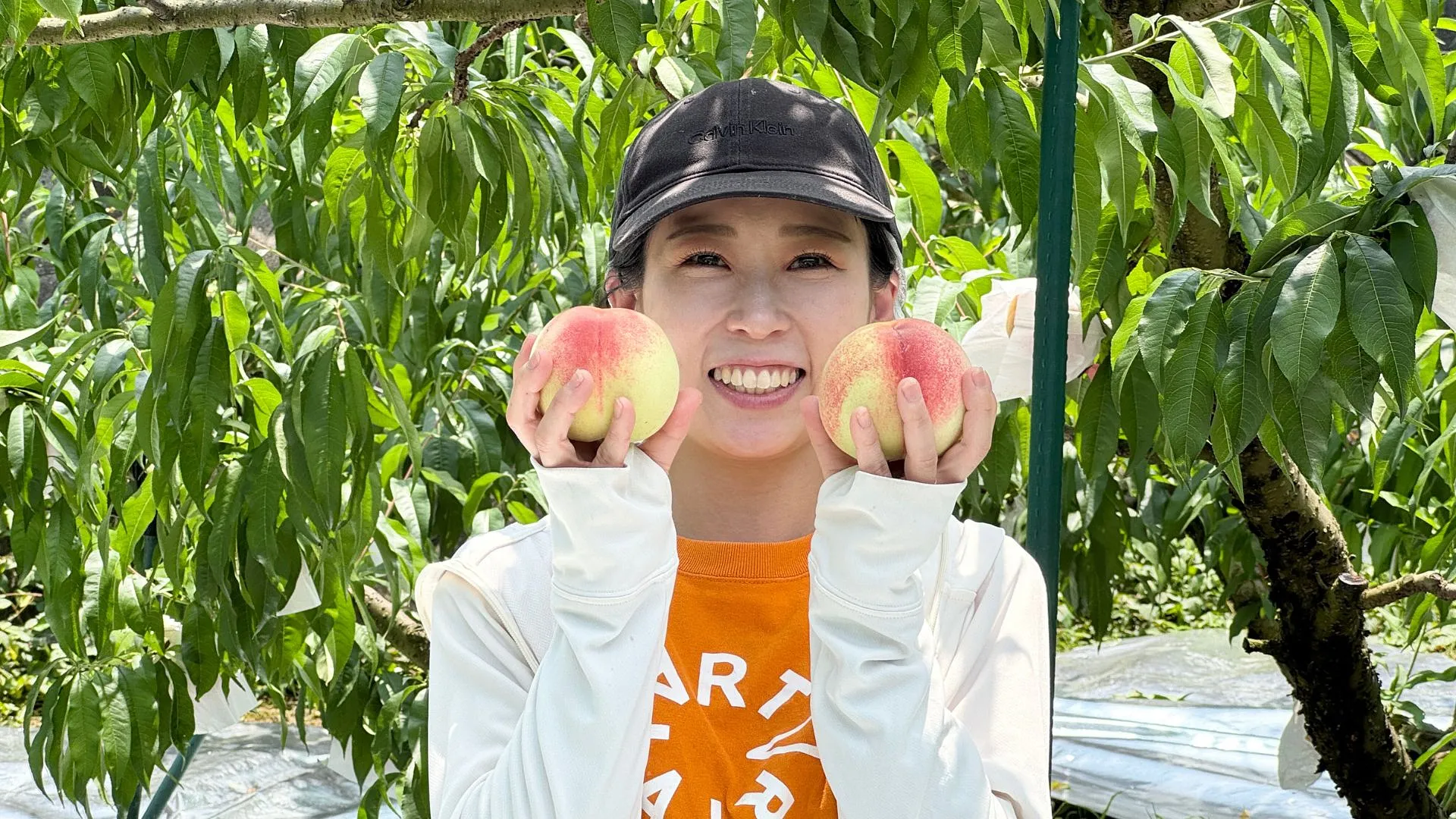 タルトルタ_宮本パティシエール.jpg