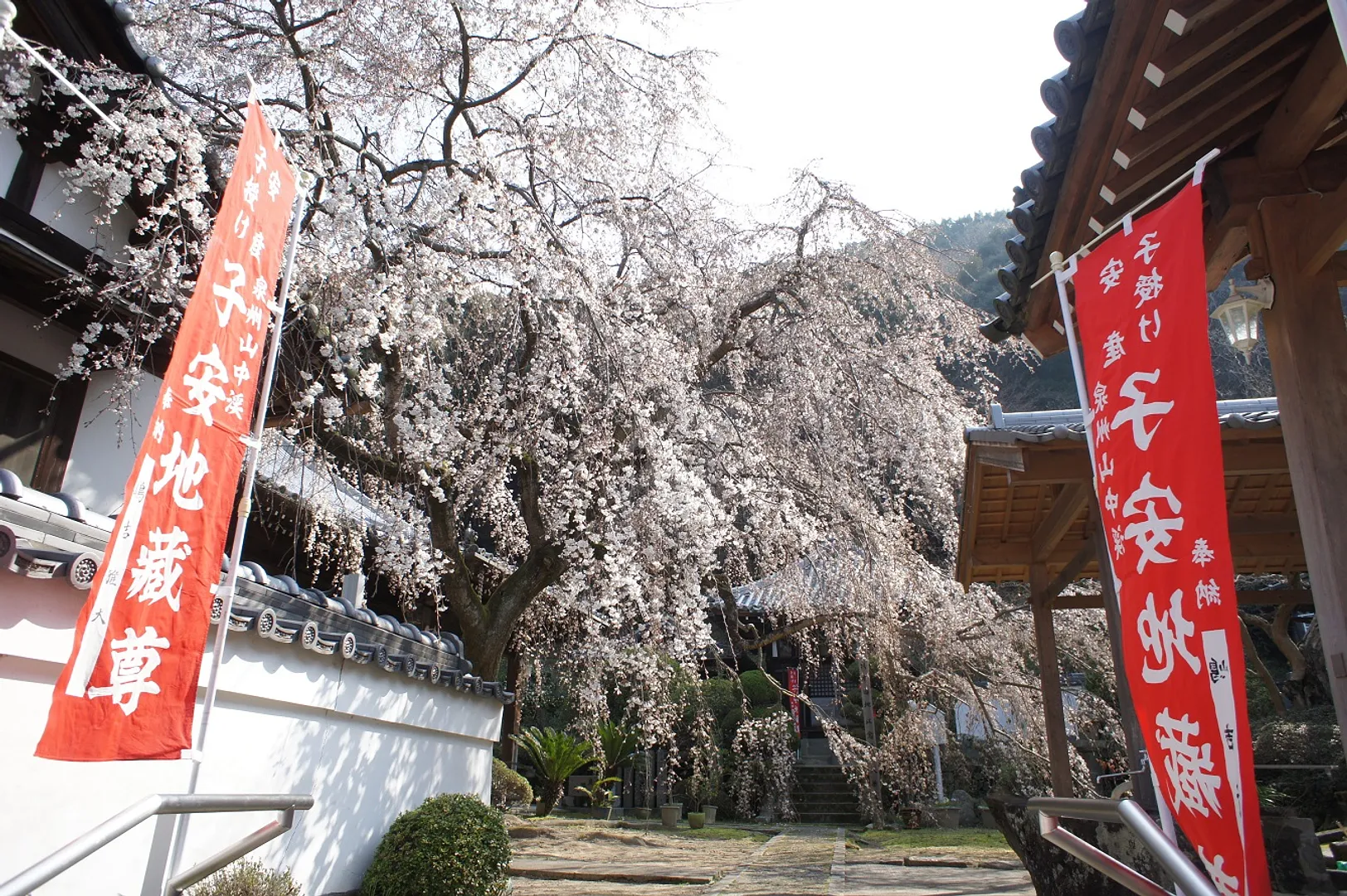 20180326jihukuji.jpg