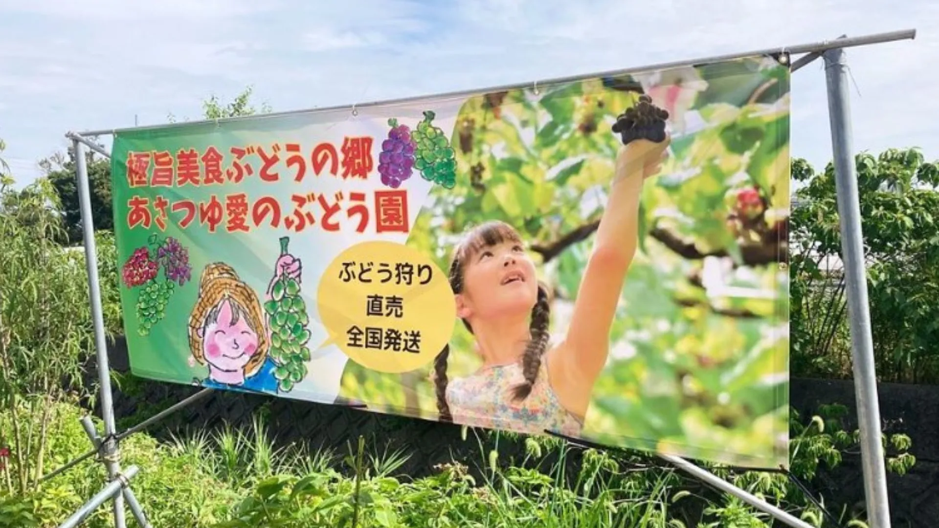 スポット用写真.png