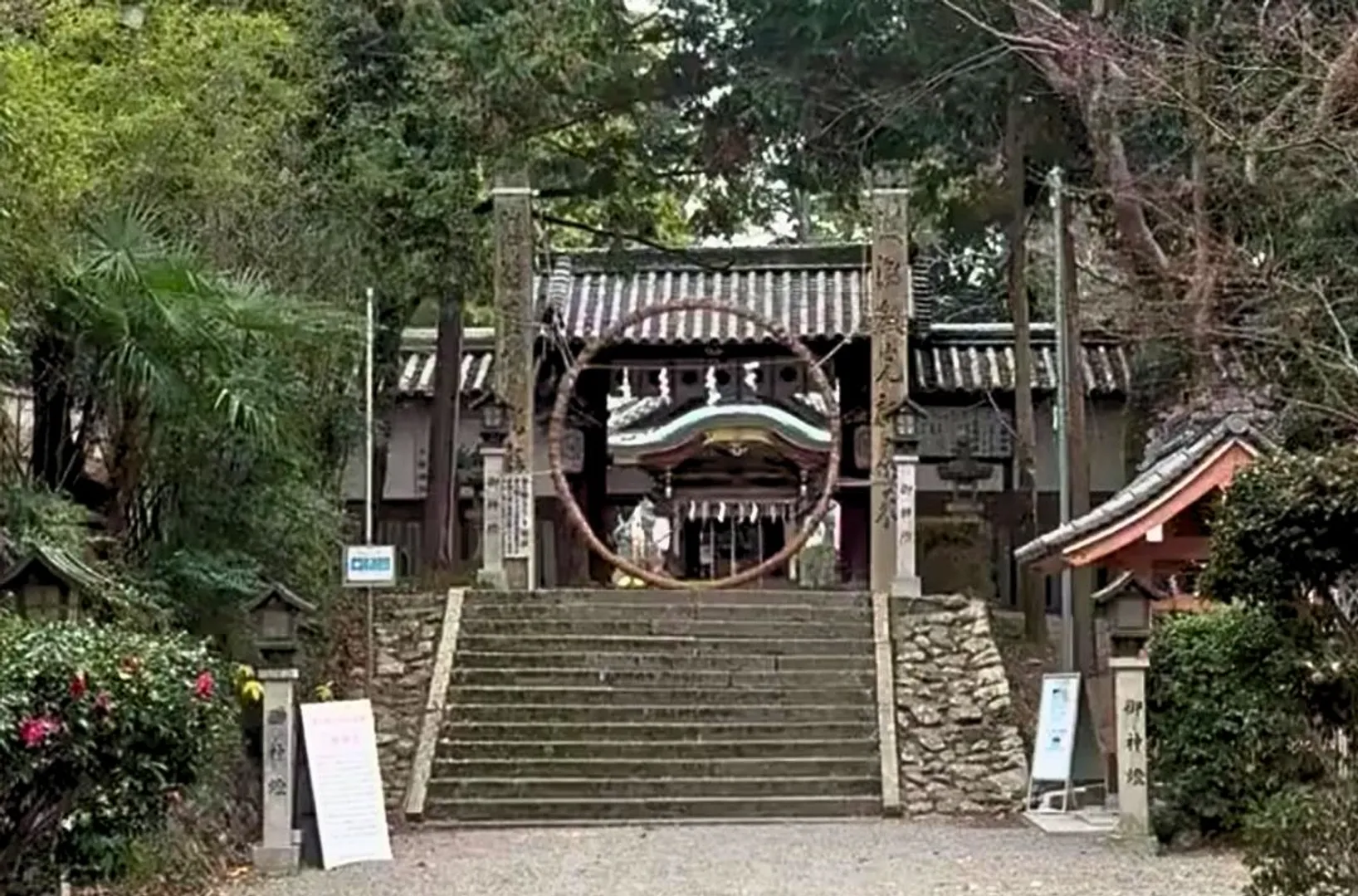 19.jpg