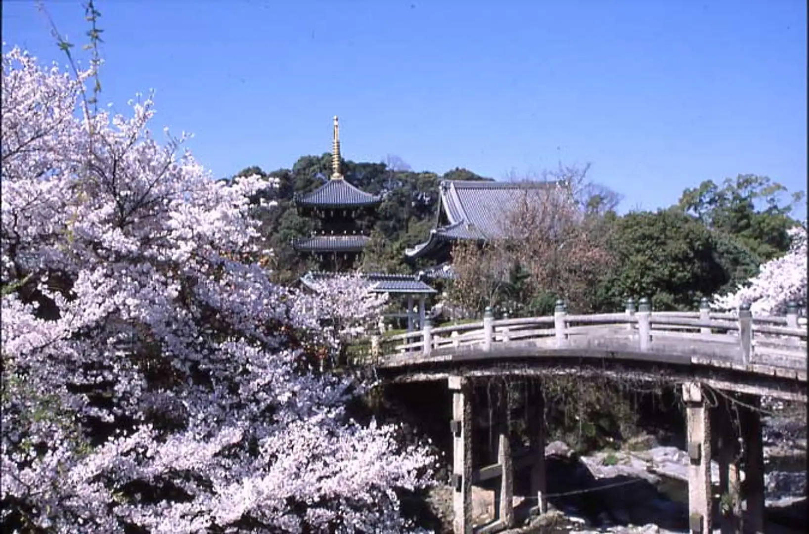 水 間 寺