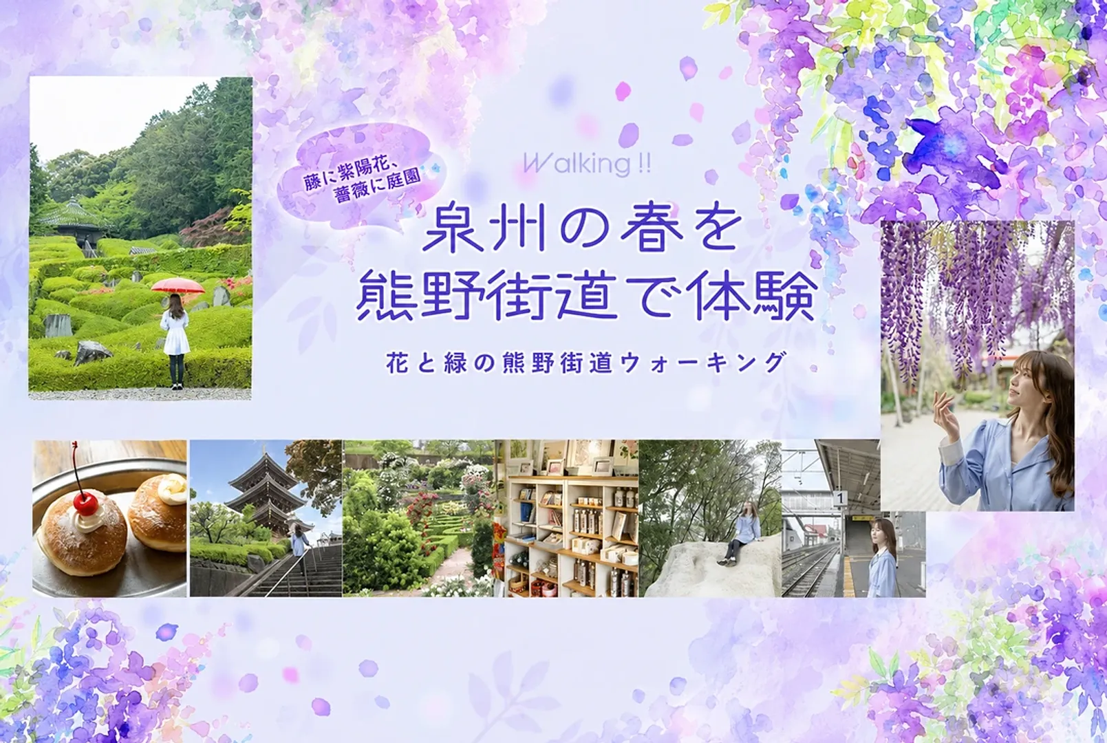 泉州の春を熊野街道で体験 花と緑の熊野街道ウォーキング_1080×725