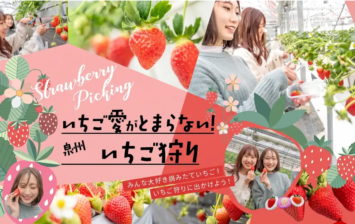いちご愛がとまらない!泉州いちご狩り_1080×725