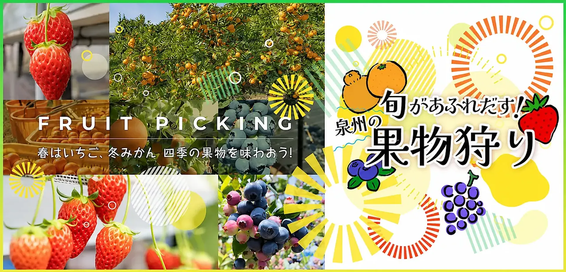 旬があふれだす！泉州の果物狩り_サムネイル