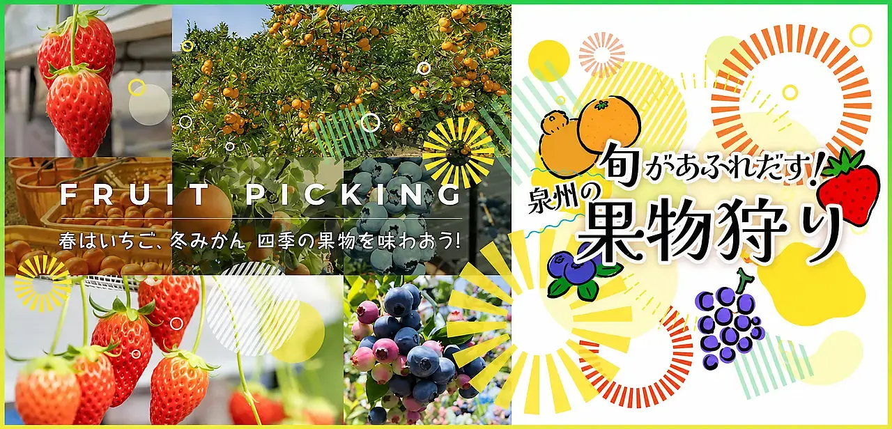 旬があふれだす！泉州の果物狩り_サムネイル