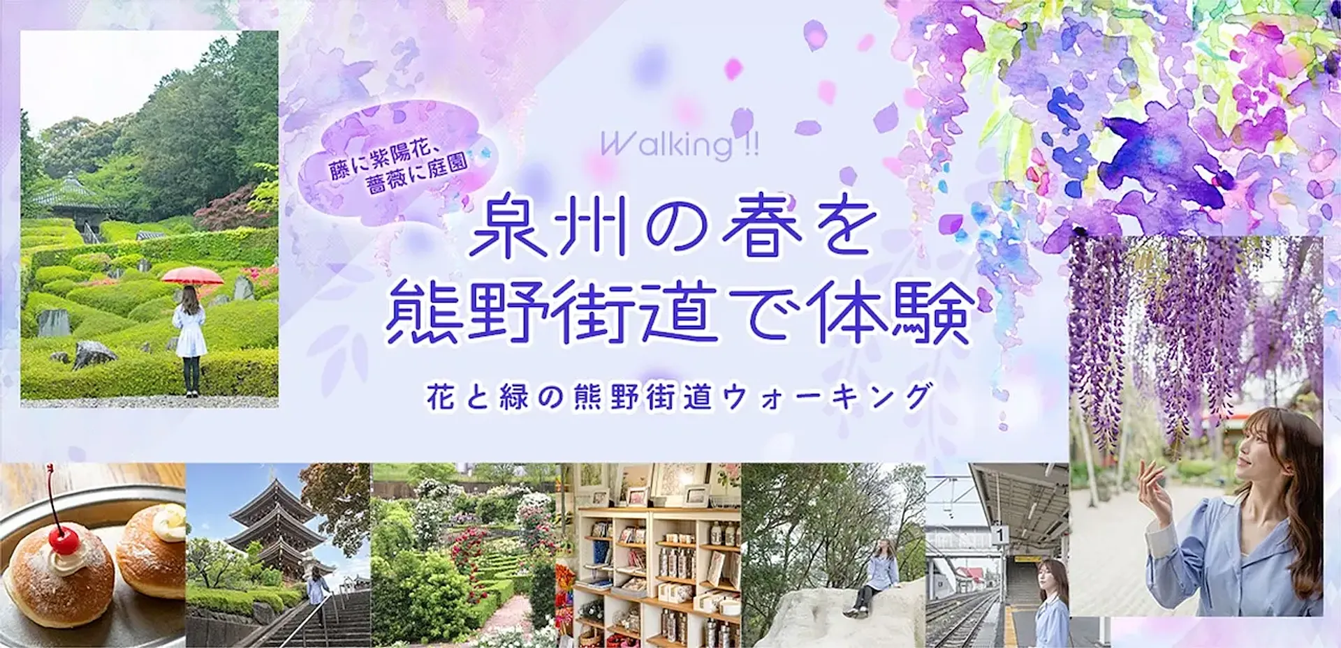 泉州の春を熊野街道で体験 花と緑の熊野街道ウォーキング_サムネイル
