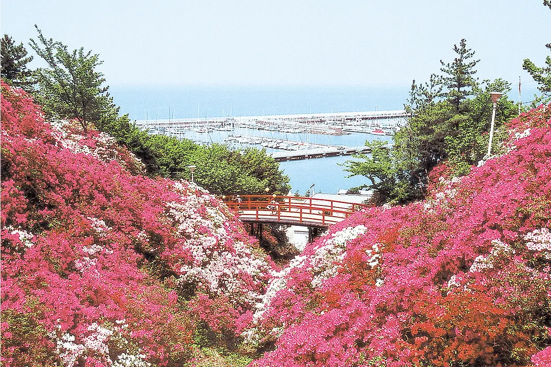 atagoyama01-01.jpg