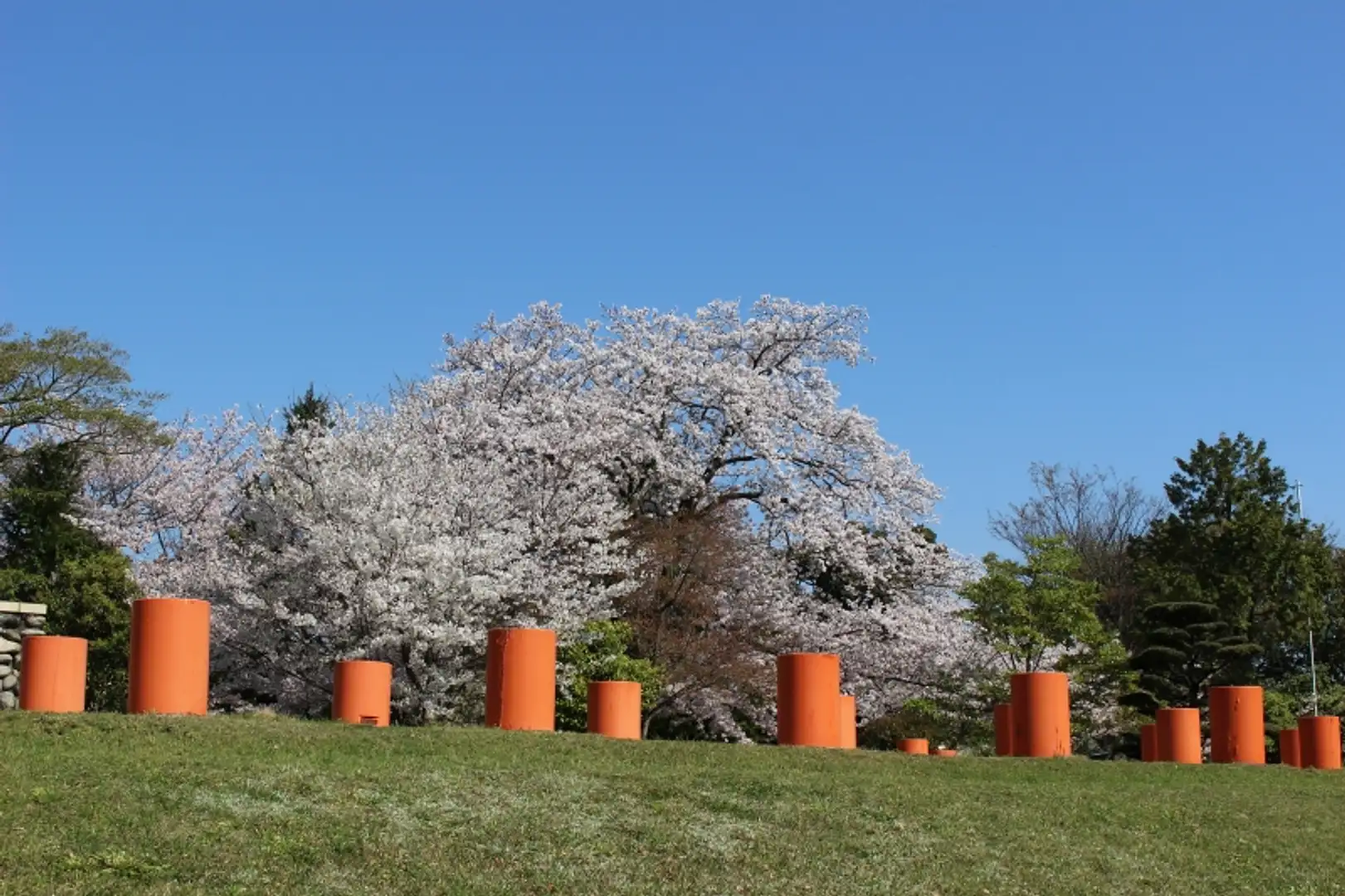 第42回 埋蔵文化財研究集会 古代寺院の出現とその背景2