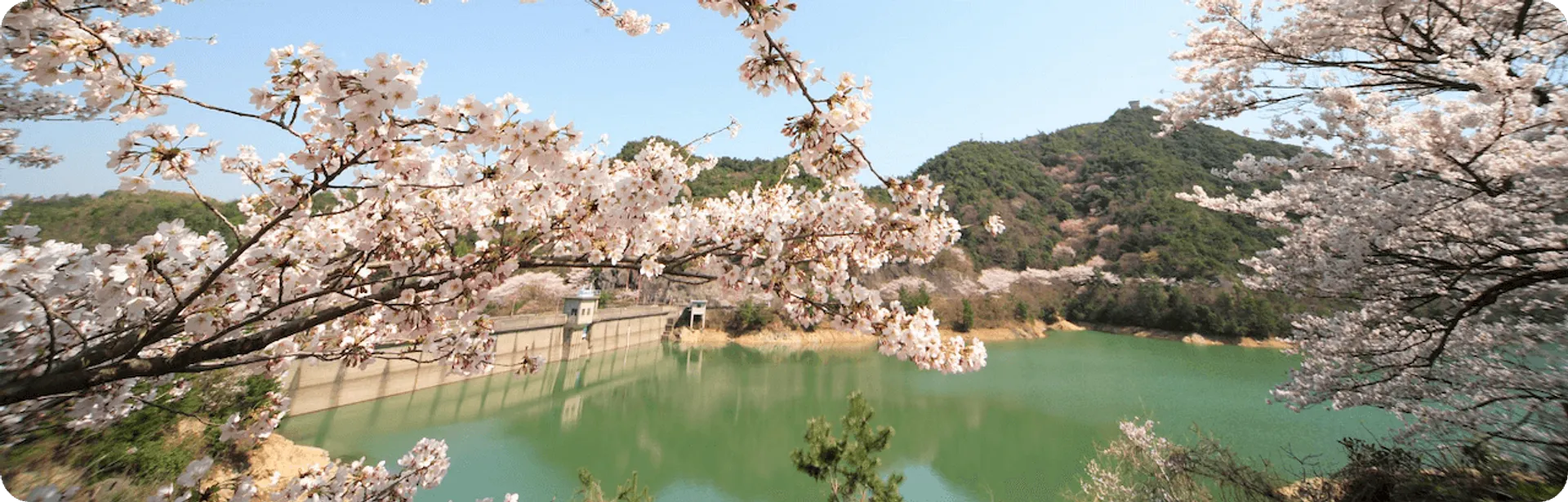 和田山 Berry Park02