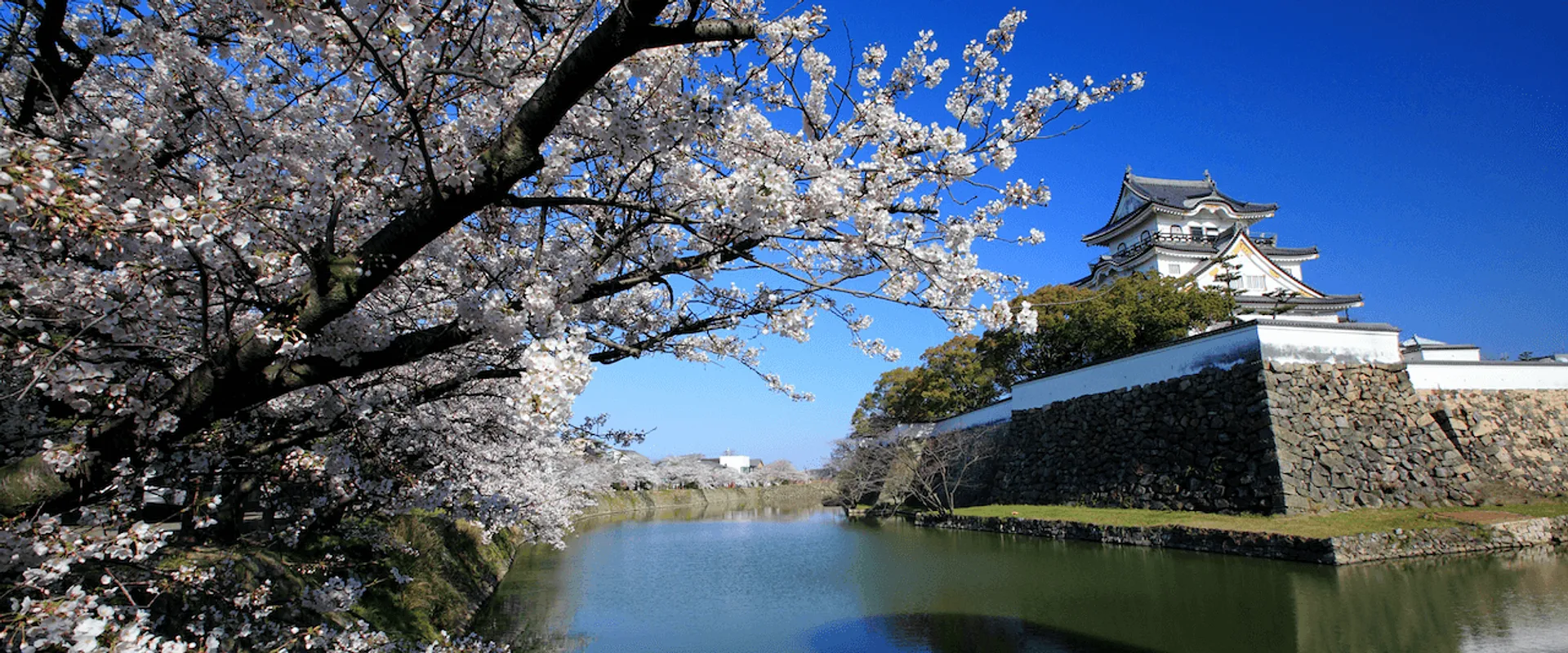 岸和田城01