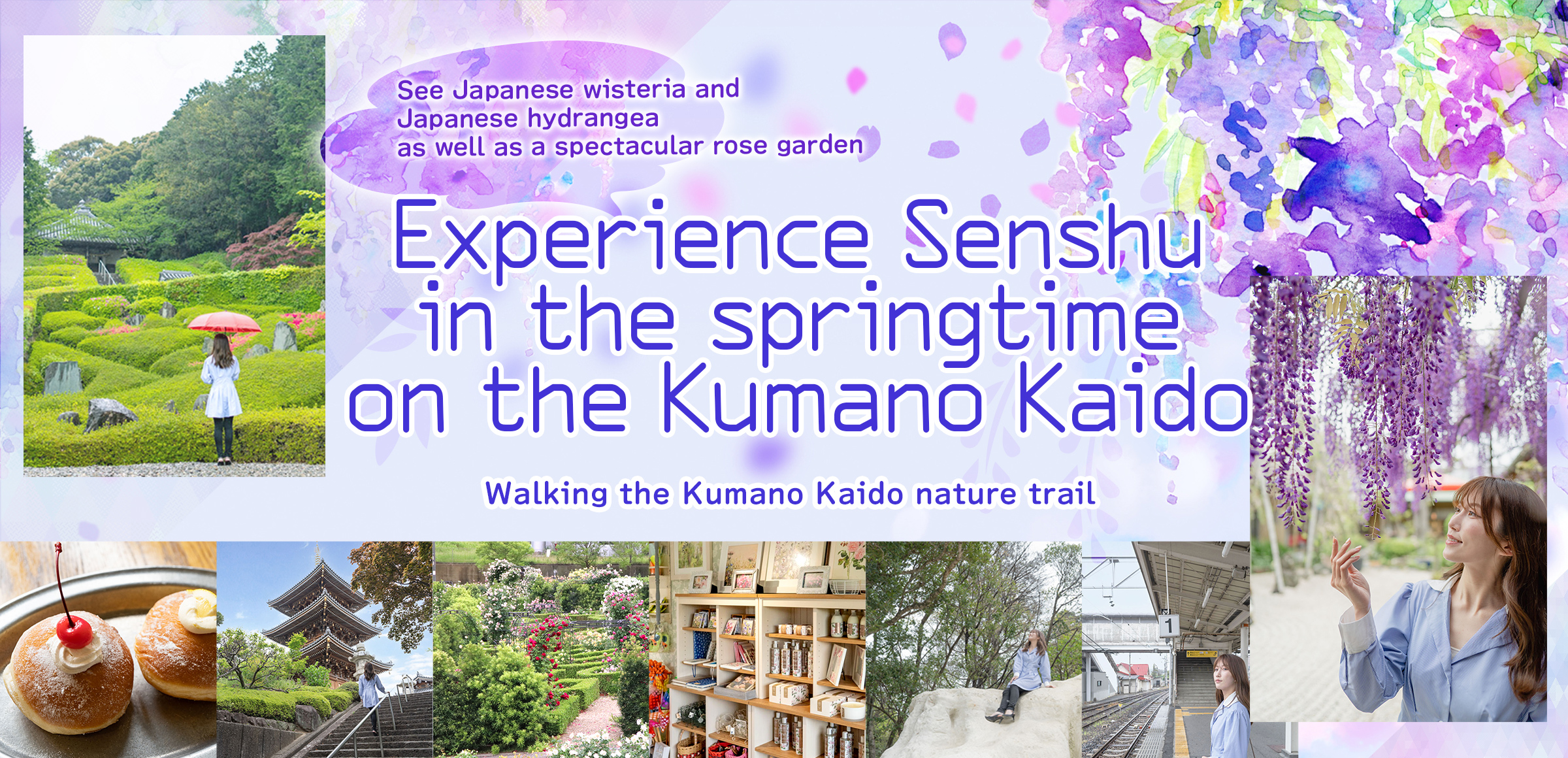 Experience Senshu in the springtime
              on the Kumano Kaido. Walking the Kumano Kaido nature trail