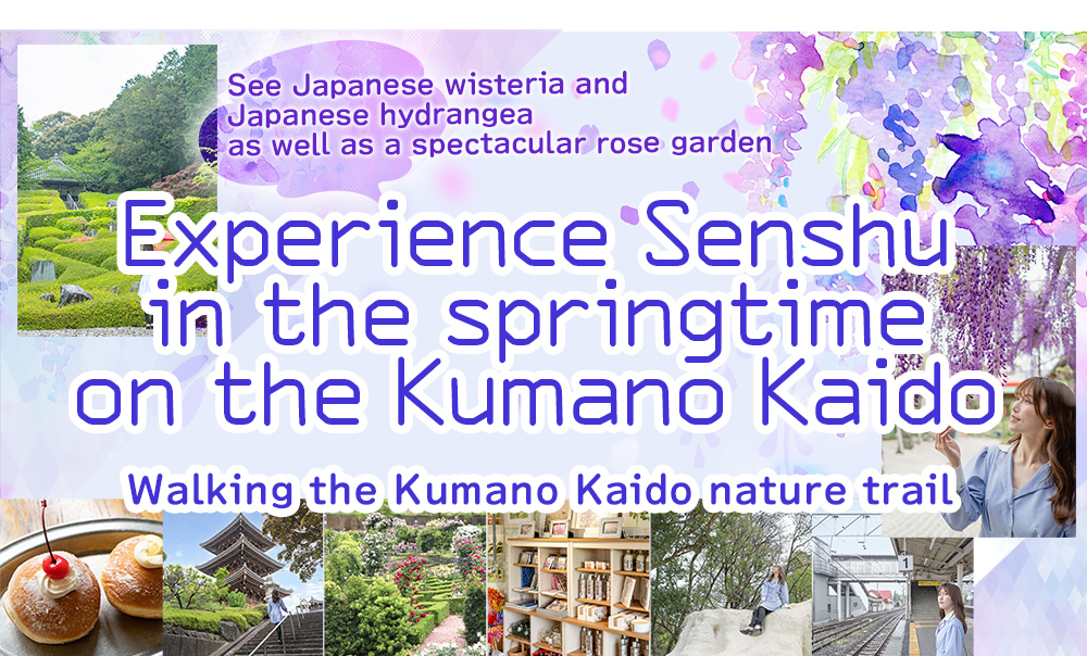 Experience Senshu in the springtime
              on the Kumano Kaido. Walking the Kumano Kaido nature trail