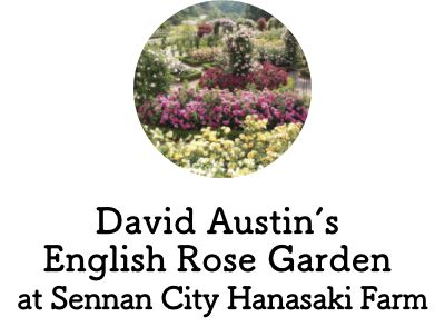 David Austin’s English Rose Garden (Hanasaki Farm)
