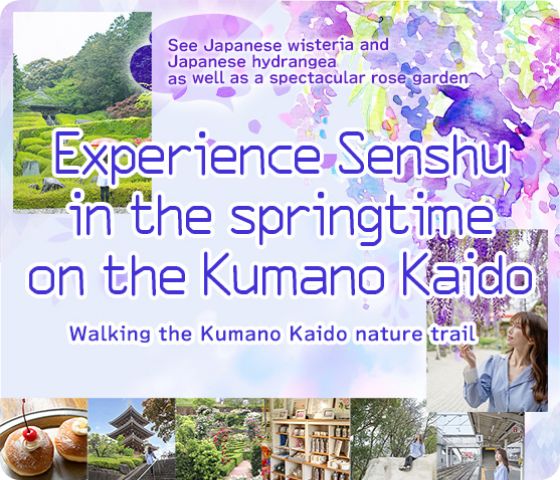 Enjoy Senshu in the springtime on the Kumano Kaido Get close to nature on the Kumano Kaido trail