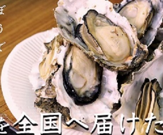 大阪発のうますぎる海産物「ぼうでの牡蠣」を全国へ広めたい！！クラウドファンディング実施中！！
