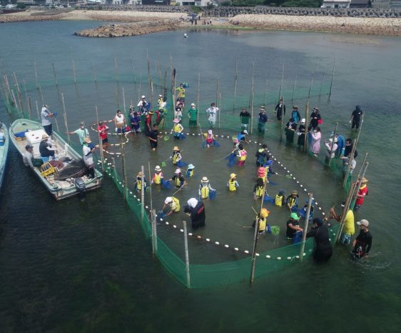 西日本でここだけ！阪南の海で伝統漁法「すだて漁」体験はいかが？