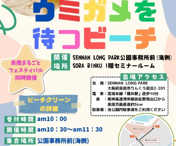 画像：「ウミガメを待つビーチ」2024年11月17日(日曜日)